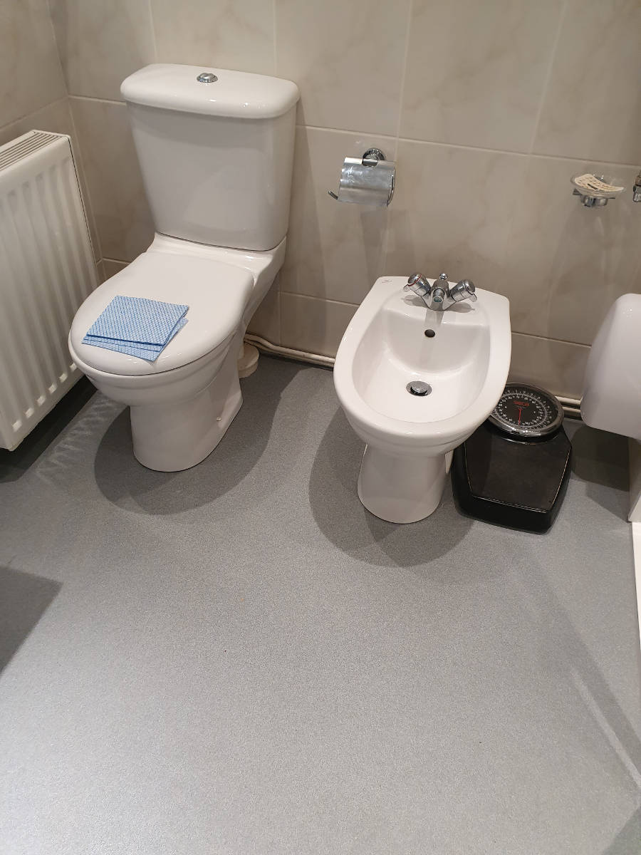 refitted toilet and bidet