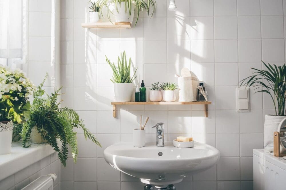 Green Plants In A Bathroom