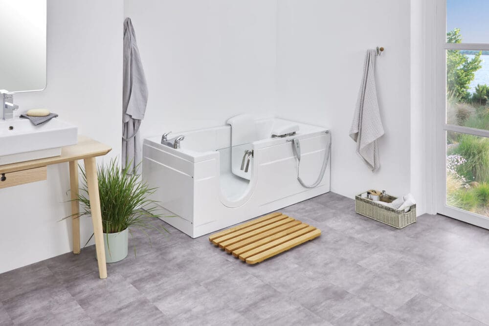 Montana Vision 2 (1)